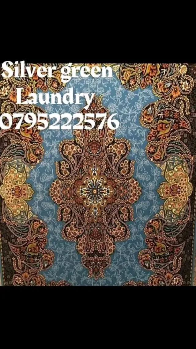 silver green laundry 7