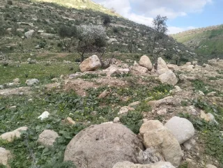 ارض زراعيه للبيع 9