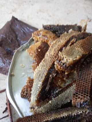 عسل طبيعي 2