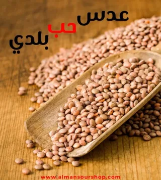 عدس حب بلدي