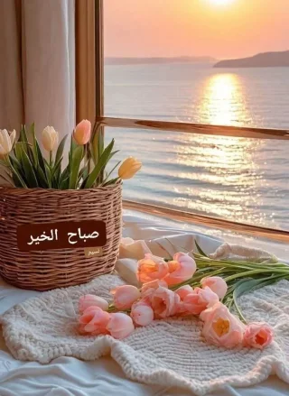 شقه للايجار في الزرقاء الوسط التجاري 2