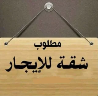 مطلوب شقة للايجار
