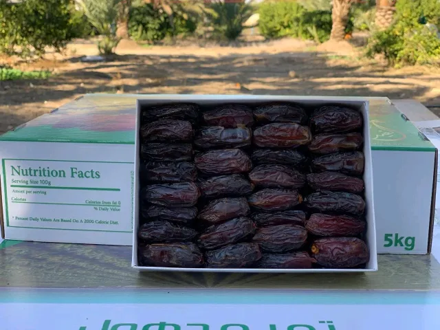 تمور الغيث Al-Ghaith Dates 14
