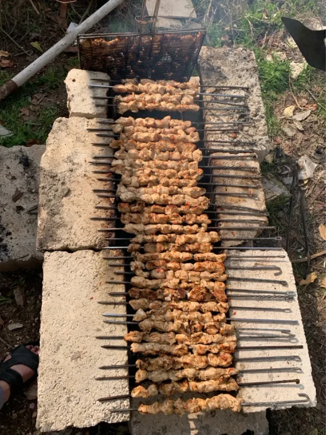 دجاج الجيزاوي 2