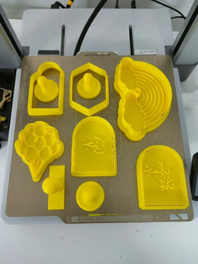3D print.ERA 2