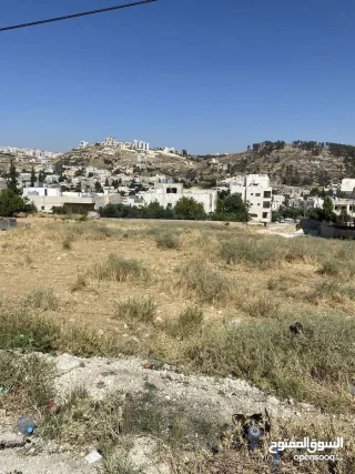أرض سكن ب للبيع في ناعور – 1273م –شارع مميز – تصلح سكن أو استثمار 4