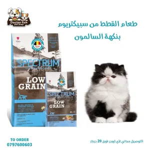 اكل قطط 14