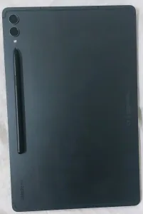 Samsung Galaxy SM-X816B   Tablet S9 plus 2