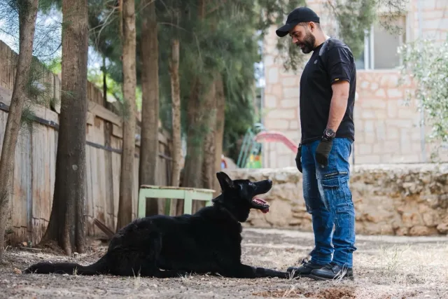 joseph almasri dog trainer 2