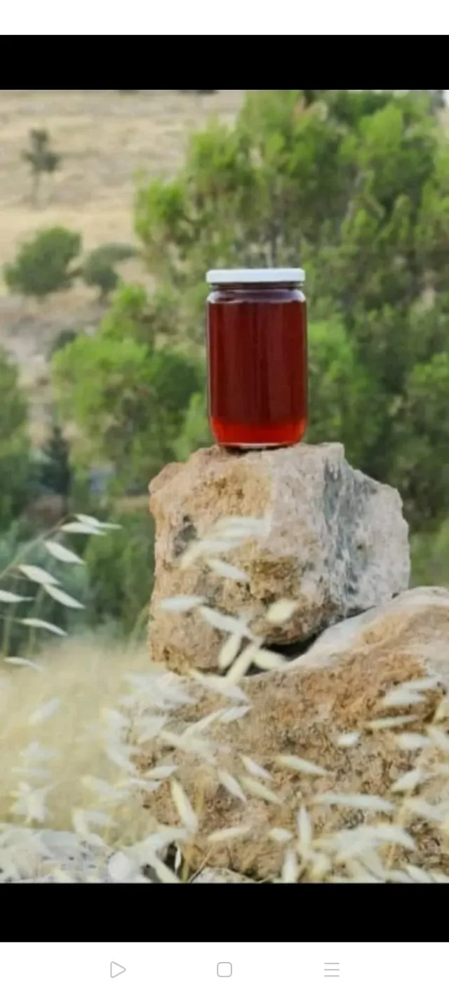 الاكرم للعسل البلدي 10