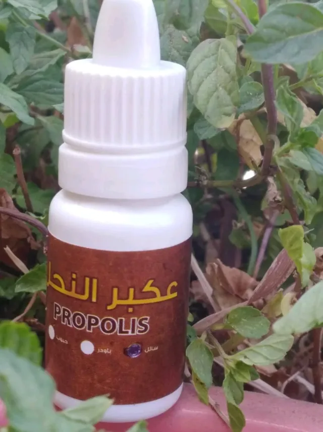 عسل الصوالحة 11
