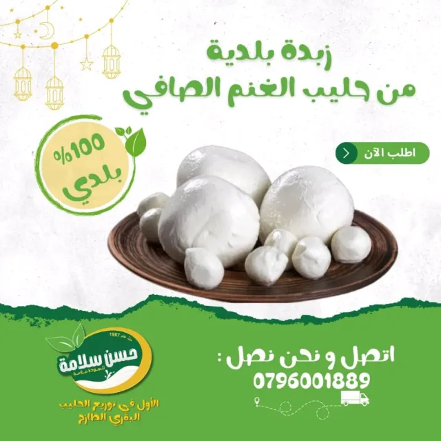 حسن سلامة للألبان والأجبان 14