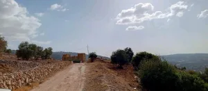 ارض بالسلط - قرية علان 2