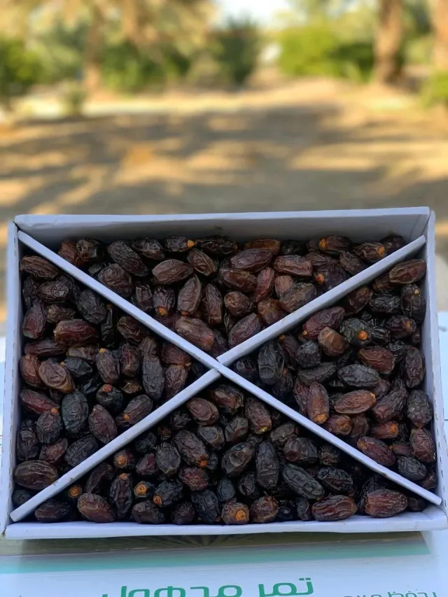 تمور الغيث Al-Ghaith Dates 6
