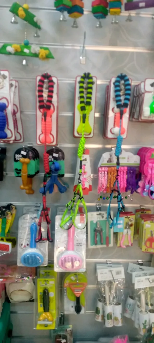 dargon Pet shop 6