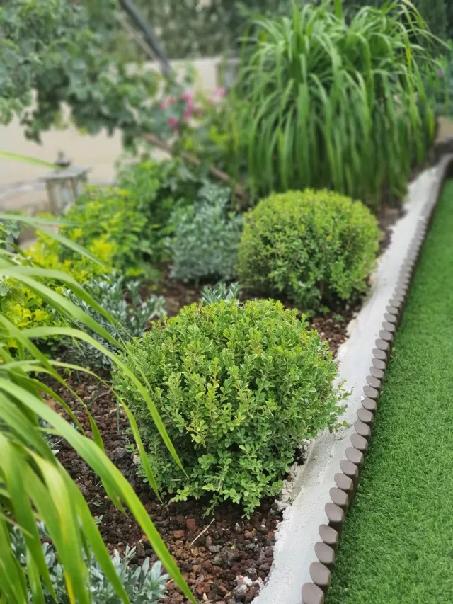 مشاتل ناعور الزراعية 12