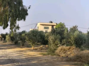 مزرعة استثمارية للبيع 4