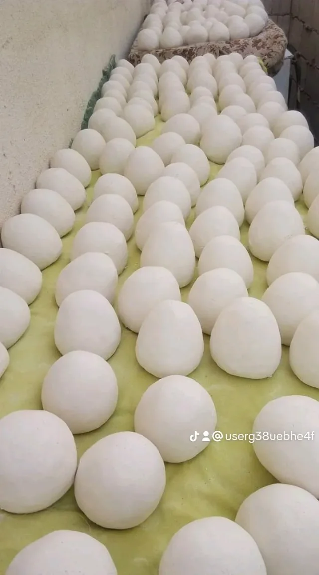 لبن جميد كركي وسمن بلدي 2