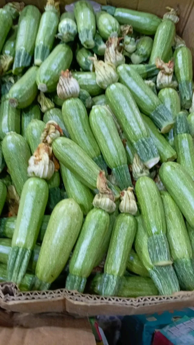جنة عدن للخضار والفواكه 9