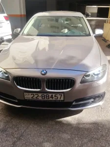 BMW 2016 (520) 12