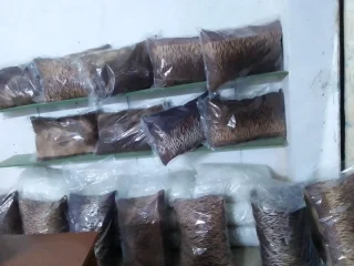 Original pillow 5
