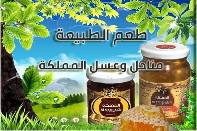 مناحل وعسل المملكه 7