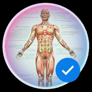 حجامة بأنواعها كايروبرايتيك شياتسو مصل النحل رقية شرعية 2