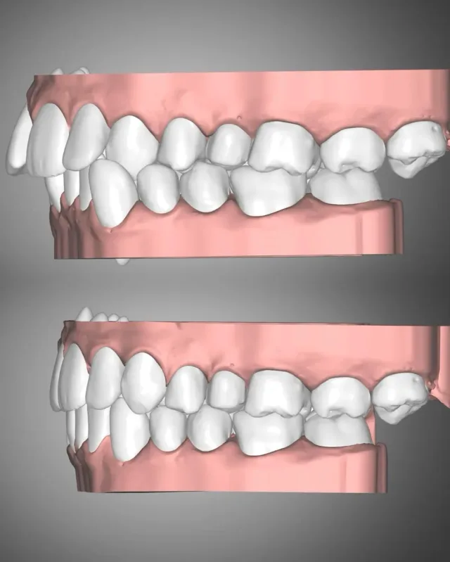 TAJ Dental Lab 15