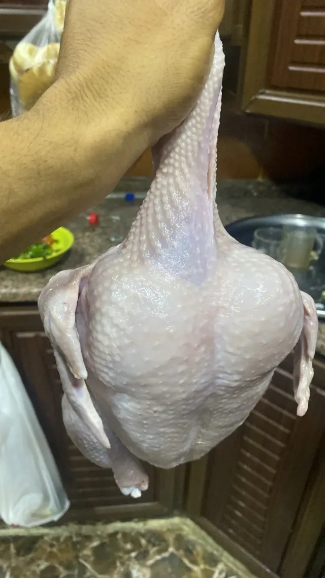 دجاج ماريا (دجاج بيور) صحي نباتي بدون اضافات مركزات الاعلاف بدون ادوية وهرمونات واي مواد بيطرية 2