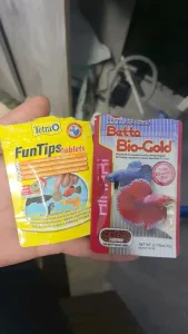 حوض سمك نهري 4
