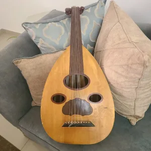 عود للبيع 5