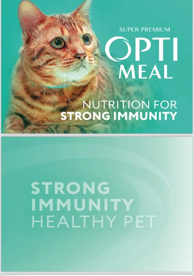 Msms Pet Store 5