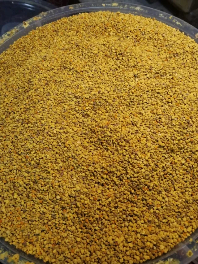 عسل ريق النحل 4