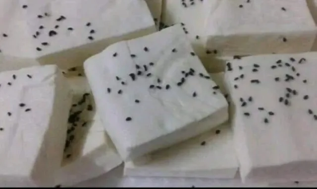 أجبان والبان شيخ الكار 3
