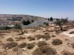 أرض سكنية بأطلالة رائعة 5