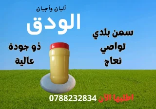 سمن بلدي 2