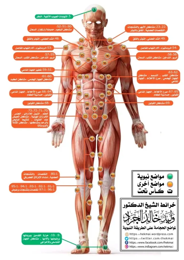 ضياء الحلاق