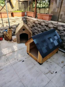 wooden house for dogs different types and sizes isolated from water and warm 3