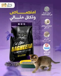 رمل قطط باغيرا للتجار و الموزعين 3