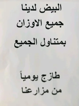 بيض بلدي XXL 3