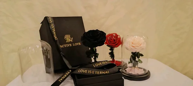 Forever rose Jo 11