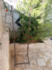 اطقم كنب ضيوف خشب زان تفصيل 9 مقاعد 10