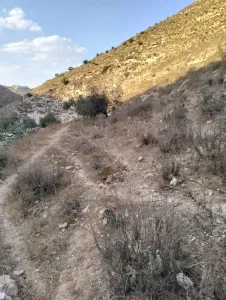 ارض زراعيه للبيع 4