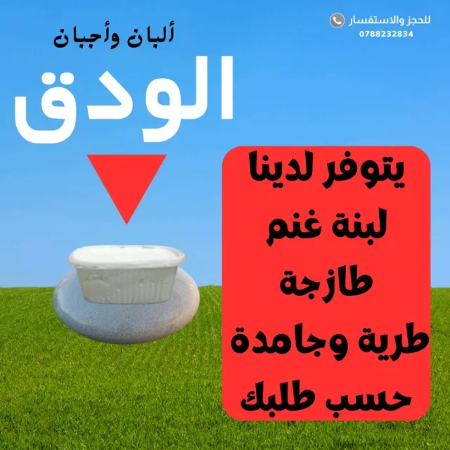 الودق 5