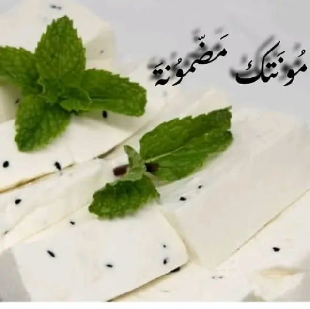 زيت زيتون بلدي 9