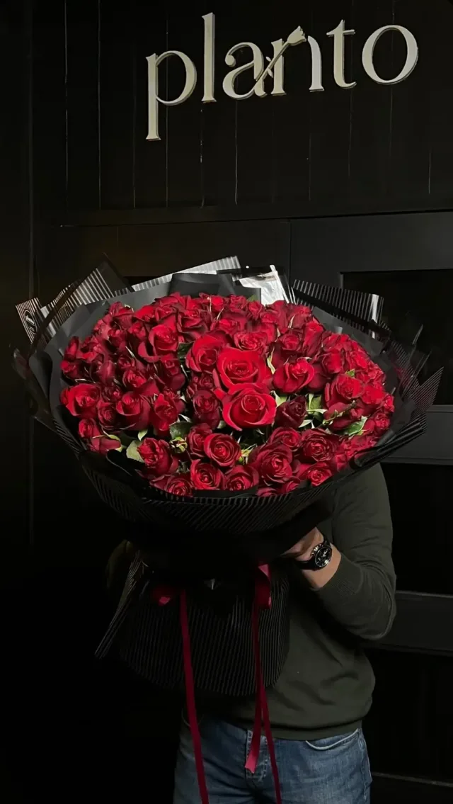 Planto Flowers - ازهار بلانتو