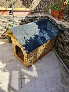 wooden house for dogs different types and sizes isolated from water and warm 6
