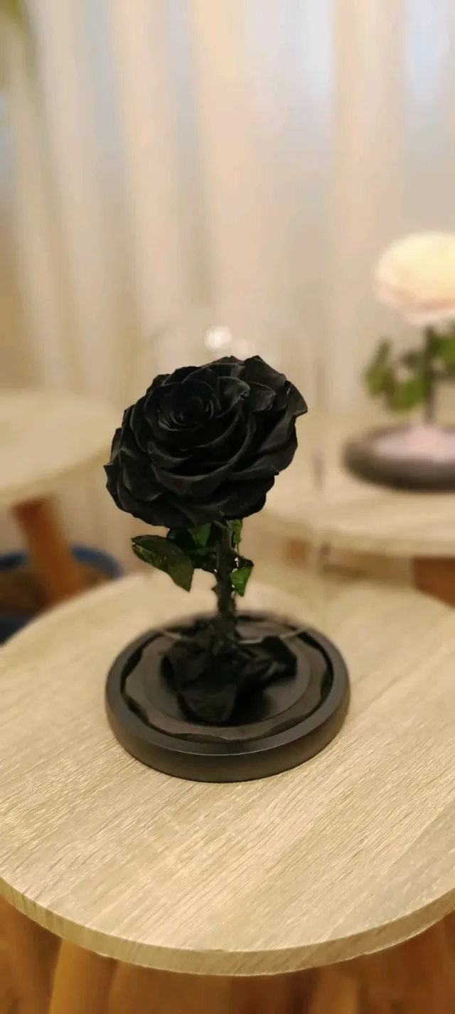Forever rose Jo 7