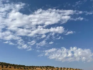 مزرعه مع فيلا ومسبح في العالوك للبيع 11