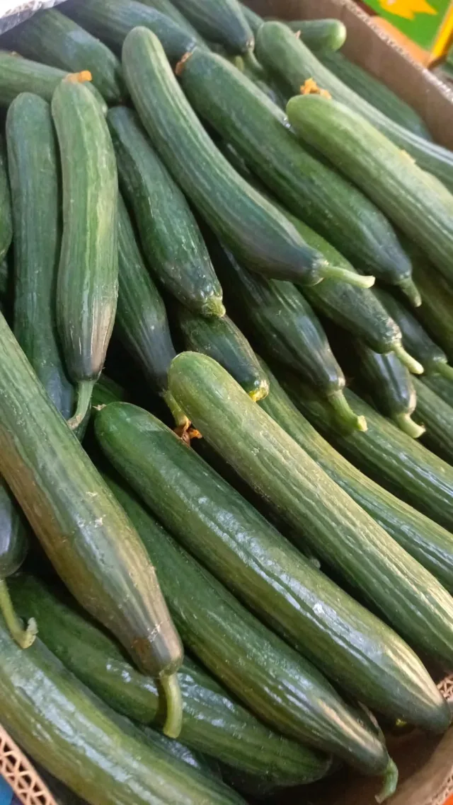 جنة عدن للخضار والفواكه 6